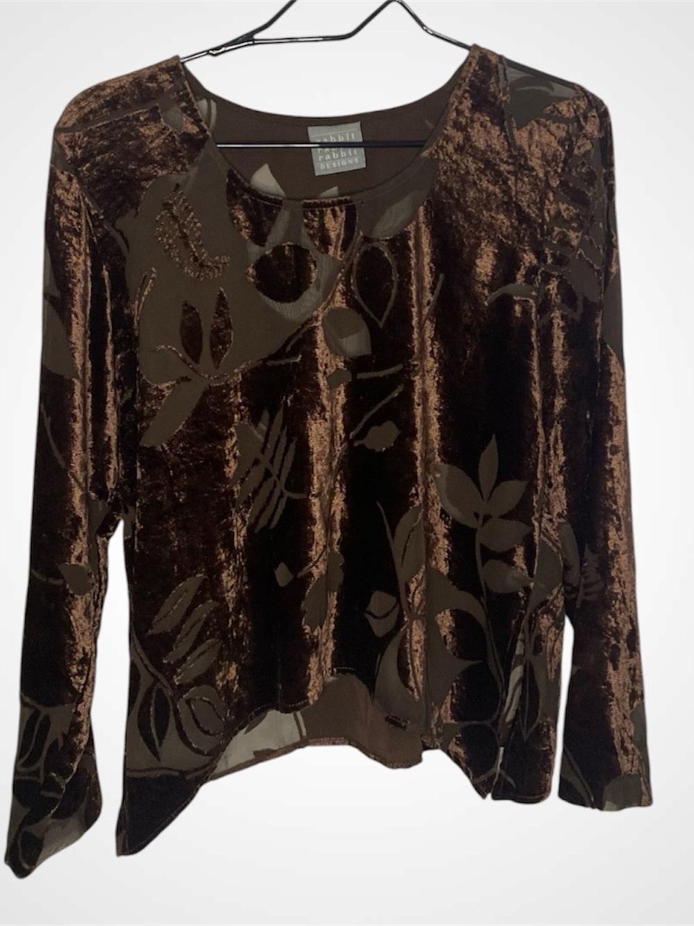 Vintage Brown Velvet Floral Burnout Long-Sleeve Blouse